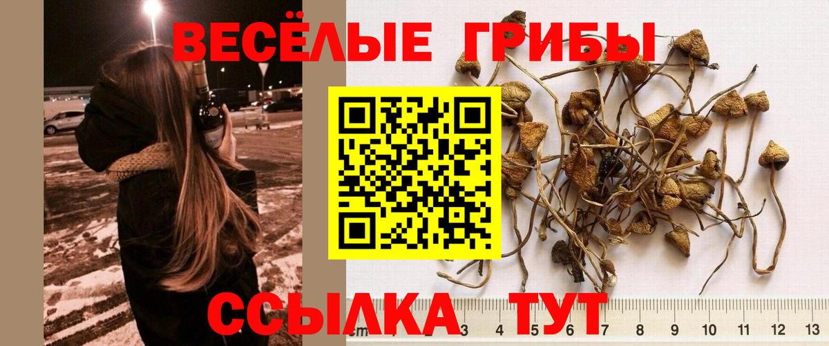 Псилоцибиновые грибы мицелий Назрань