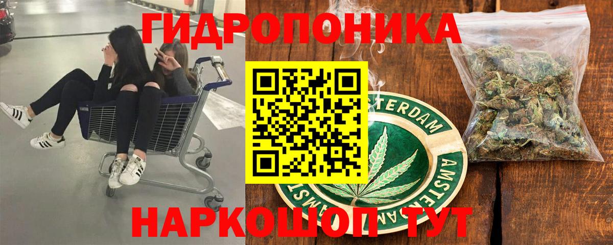 Назрань  Канабис конопля  Вход с VPN  Канабис Amnesia  Каннабис индика 